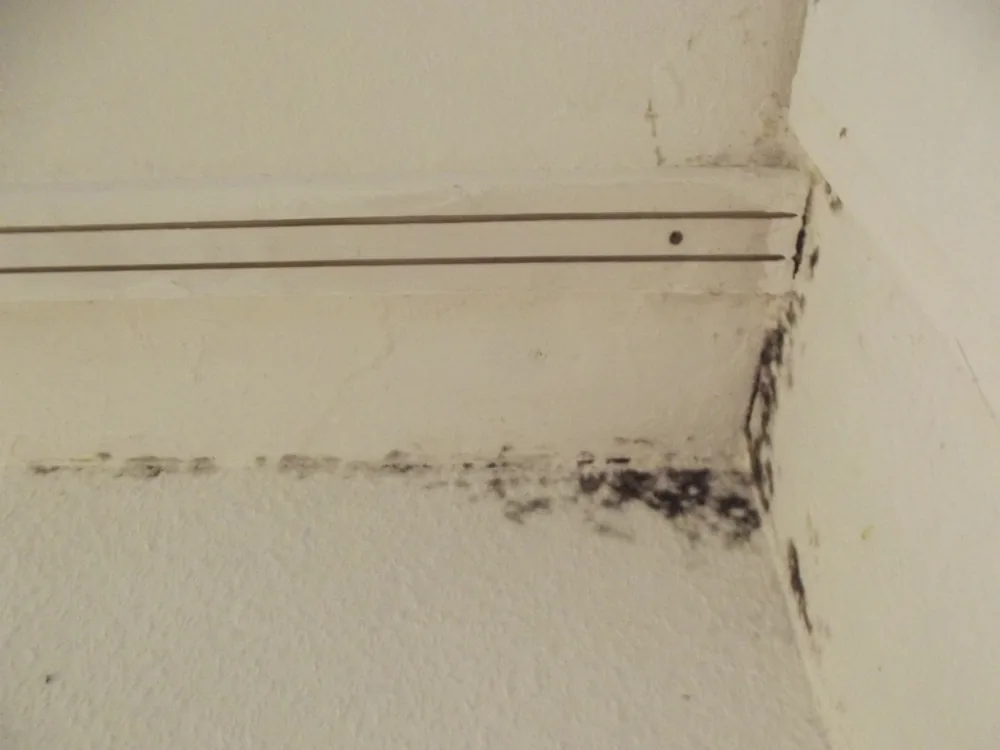 Technician in protective gear removing a mold-damaged wall in a Pleasant View home